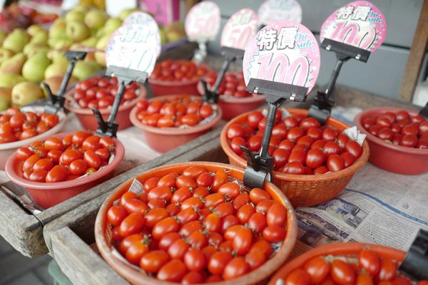 Stratégies de pricing : fixer le prix juste pour vos produits